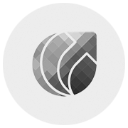 hybrid app development