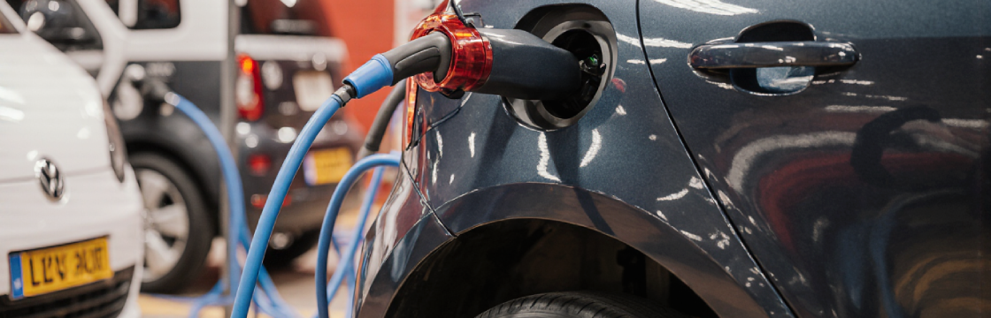 Flutter App Development